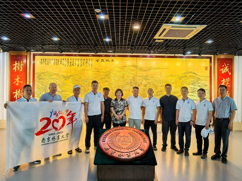 图片 6