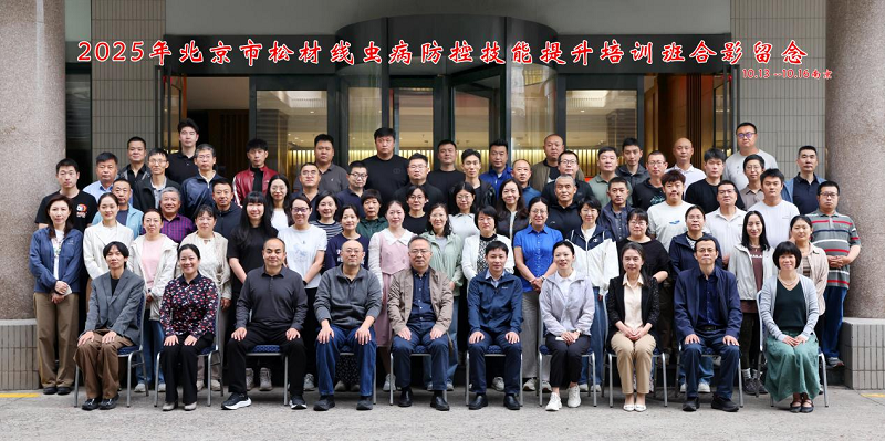 图片4_272图片4