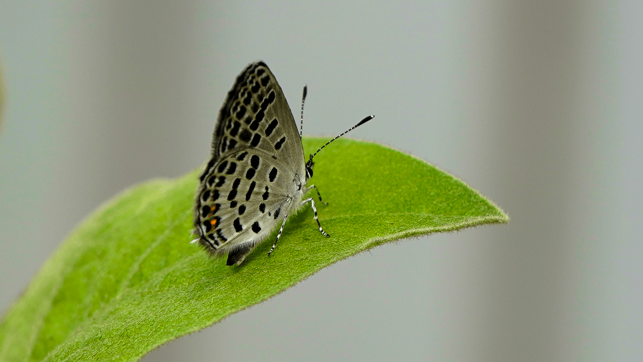 图片1_11341图片1