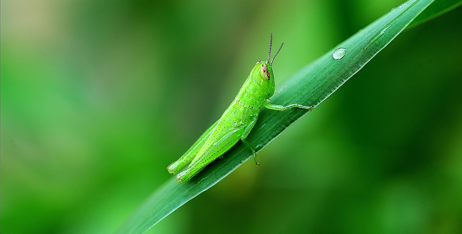 图片2_18812图片2